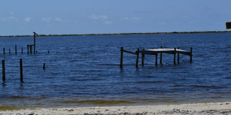 DSC_0573-001
