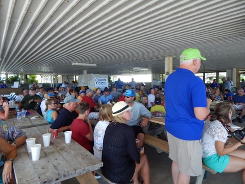 The crowd