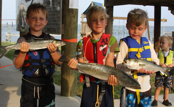 Bill Fish Rodeo History | Bill Hargreaves Fishing Rodeo